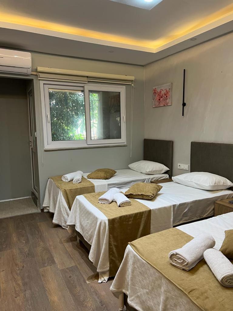 איסטמבול Mr Lion Kumkapi Otel מראה חיצוני תמונה